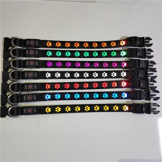 LED Light-Up Dog Collar – Adjustable Night Safety Collar
