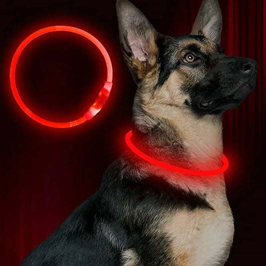 USB Rechargeable LED Dog Collar for Nighttime Visibility