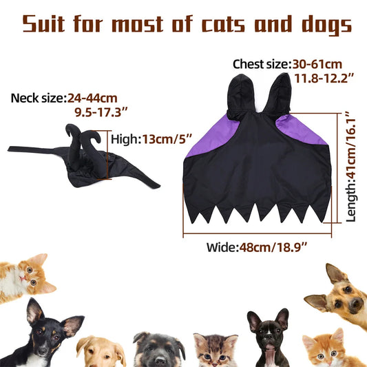 Purple & Black Halloween Costume for Pets