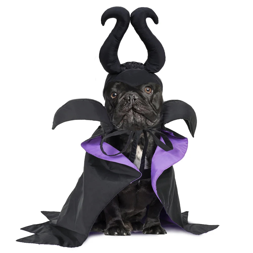 Purple & Black Halloween Costume for Pets