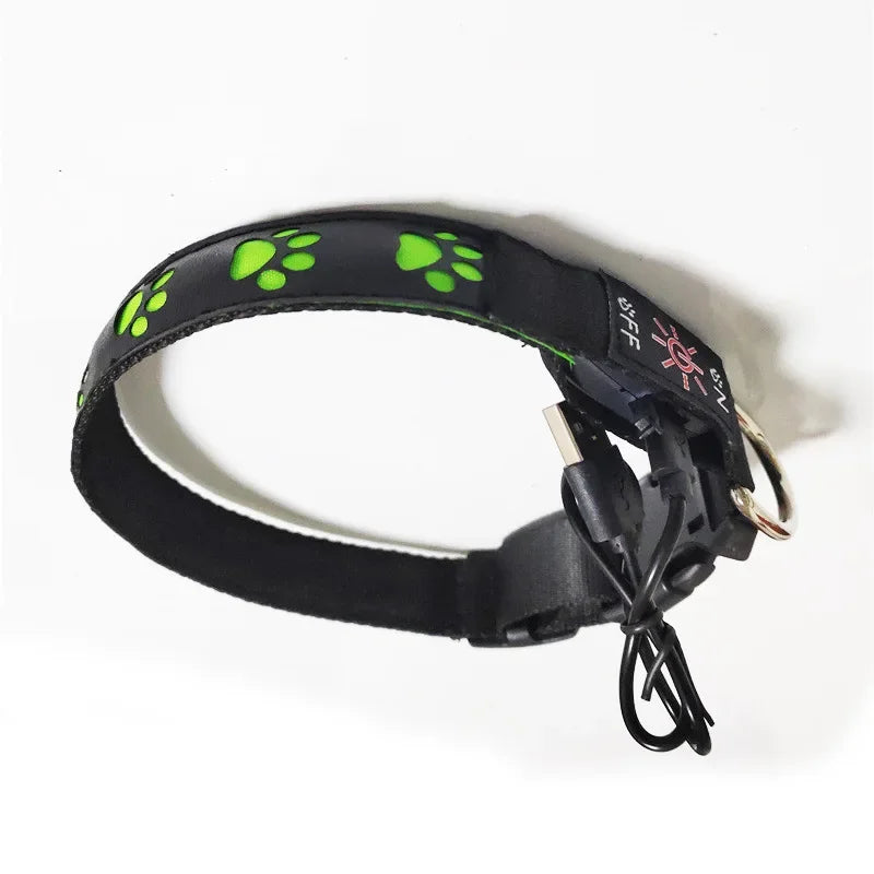 LED Light-Up Dog Collar – Adjustable Night Safety Collar