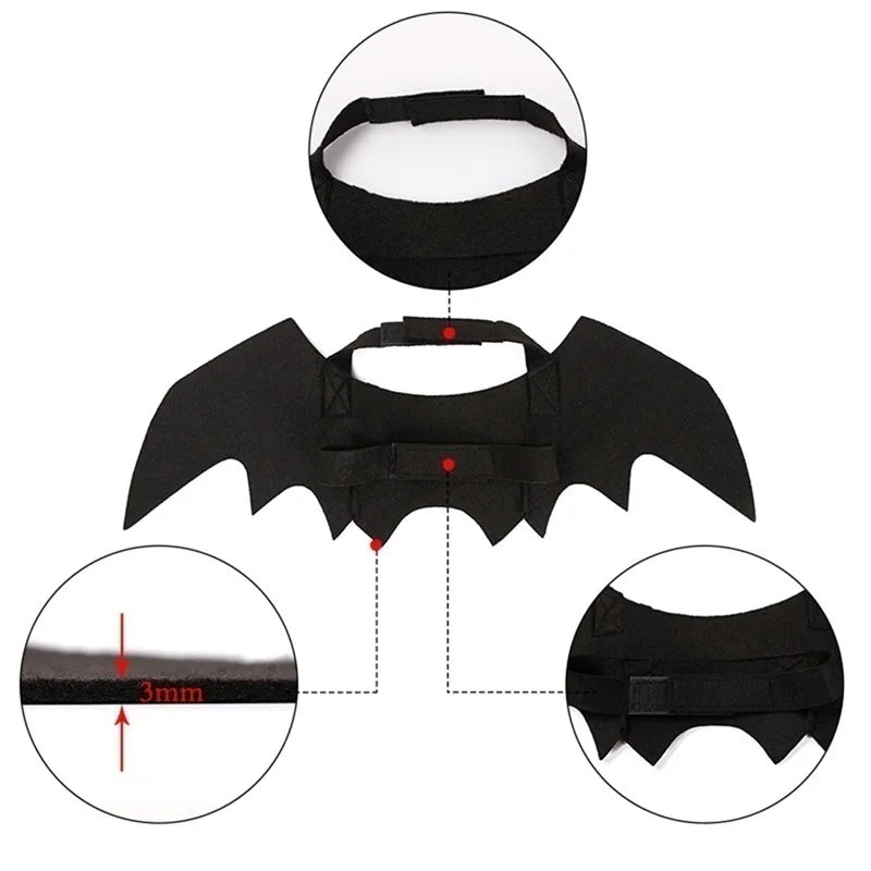 Midnight Bat Wings Pet Costume