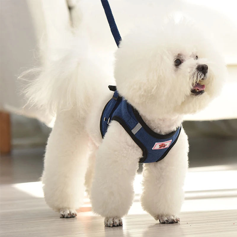 No-Pull Corduroy Dog Harness & Leash Set