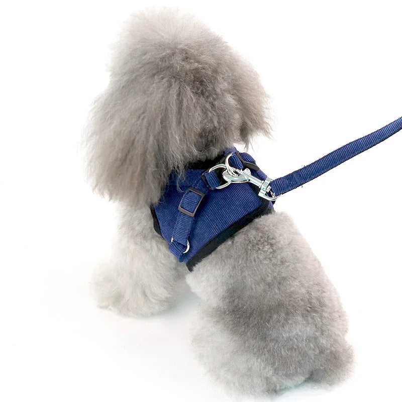 No-Pull Corduroy Dog Harness & Leash Set