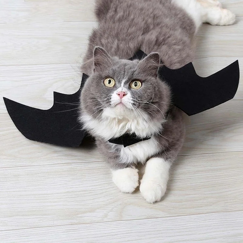 Spooky Bat Wings Pet Costume