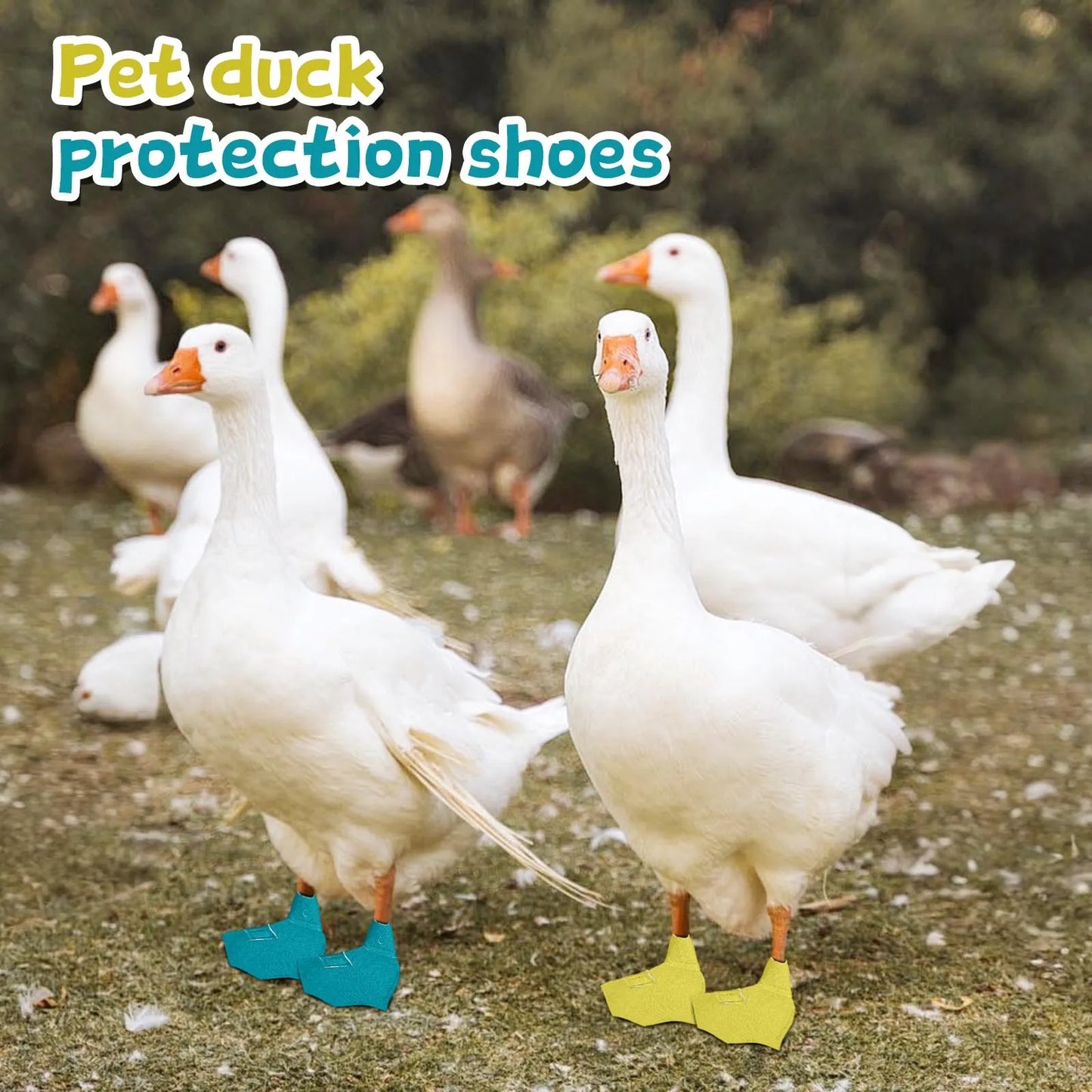 Protective Duck Boots with Non-Slip Soles