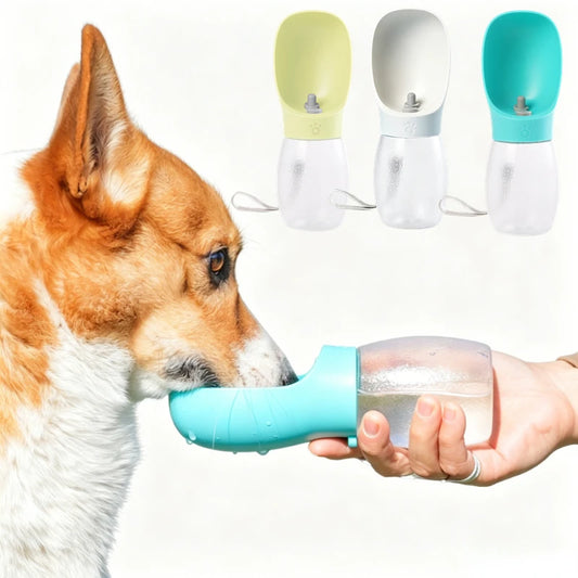 Pet Water Bottle