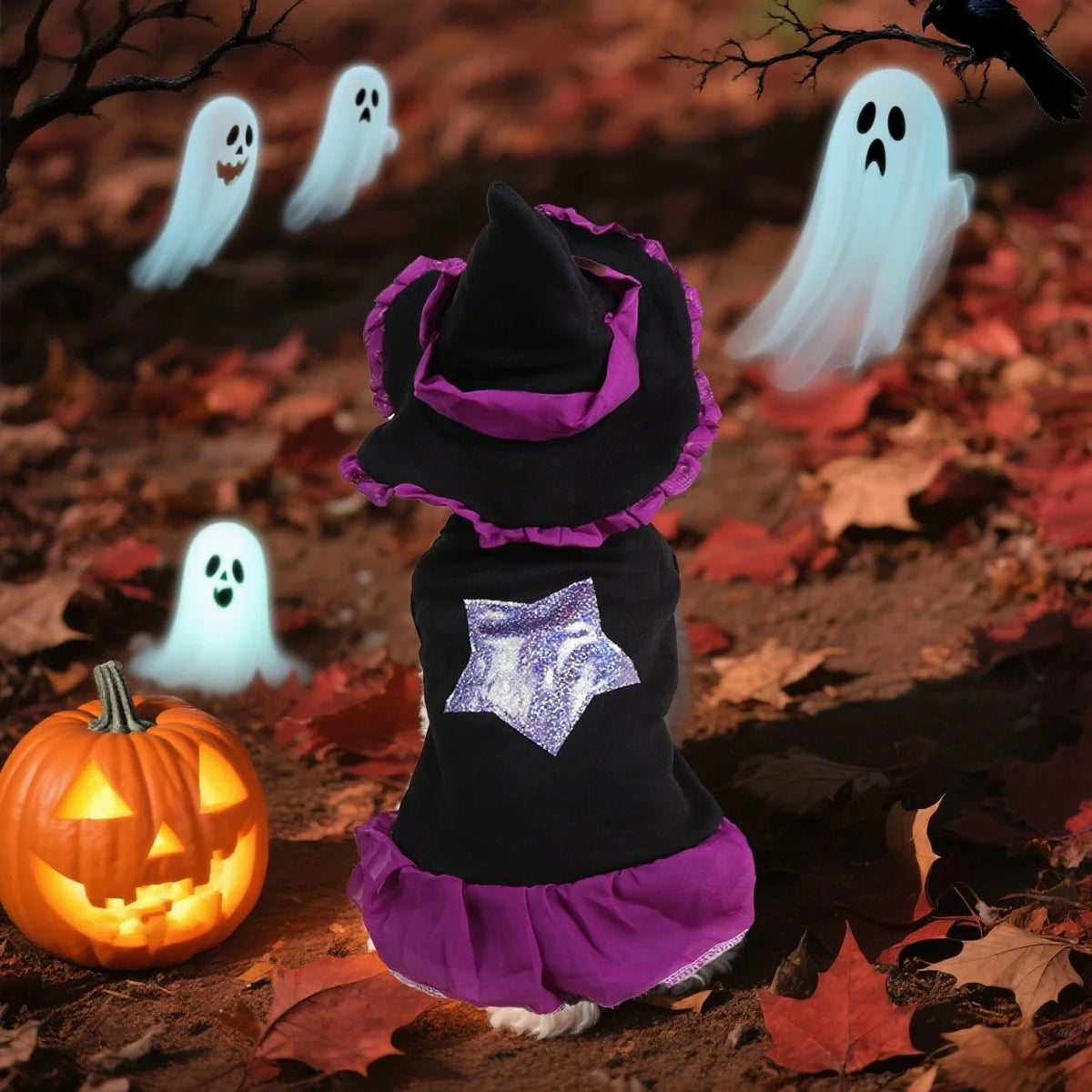 Witch Dress & Hat Costume for Pets