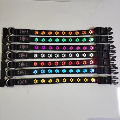 LED Light-Up Dog Collar – Adjustable Night Safety Collar