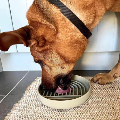 Round Slow Feeder Plate for Dogs & Cats