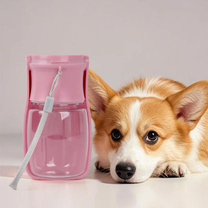 Portable Foldable Water Cup for your pet
