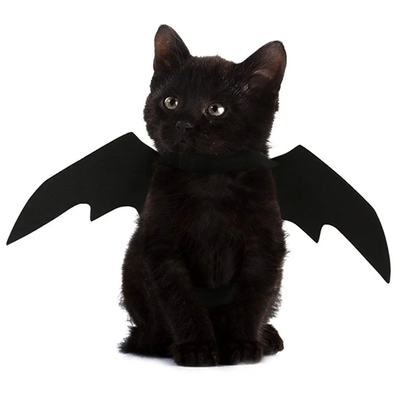 Spooky Bat Wings Pet Costume