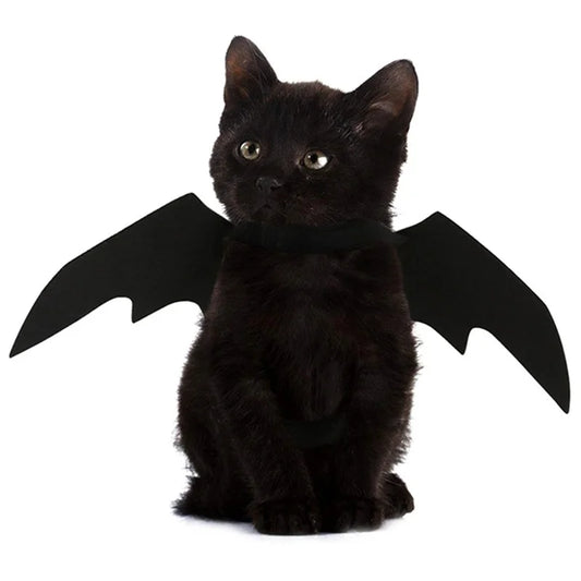 Spooky Bat Wings Pet Costume