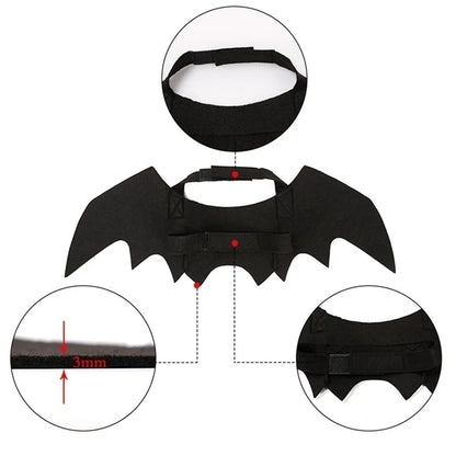 Spooky Bat Wings Pet Costume