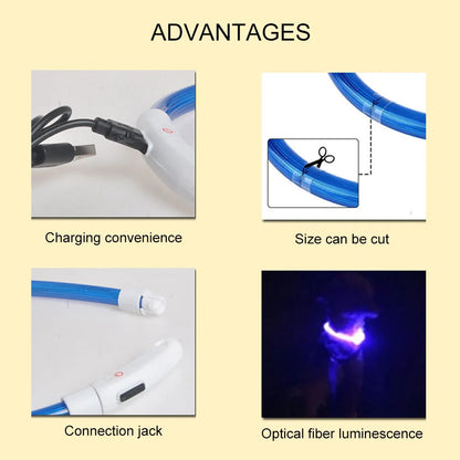 USB Rechargeable LED Dog Collar for Nighttime Visibility