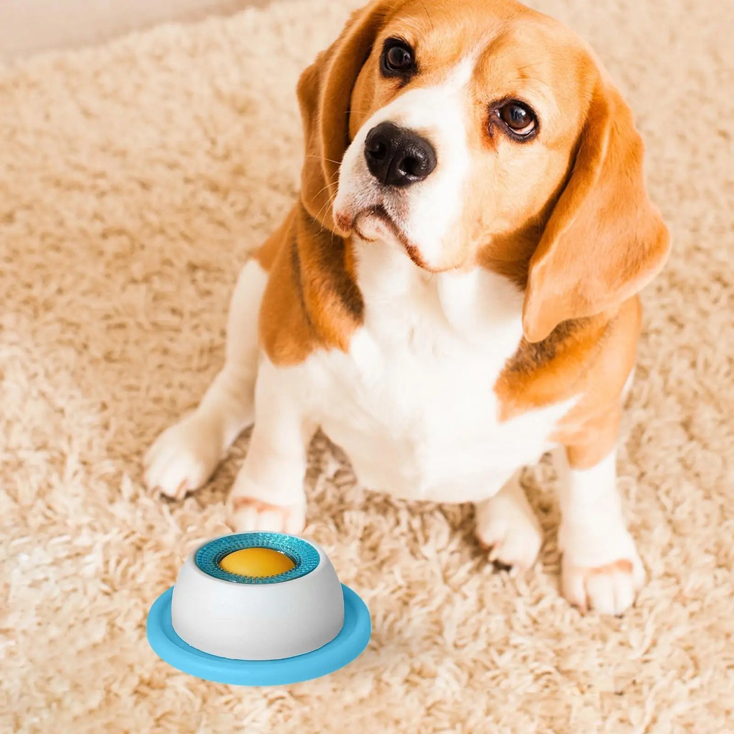 Dog Treat Puzzle Slow Feeder Toy
