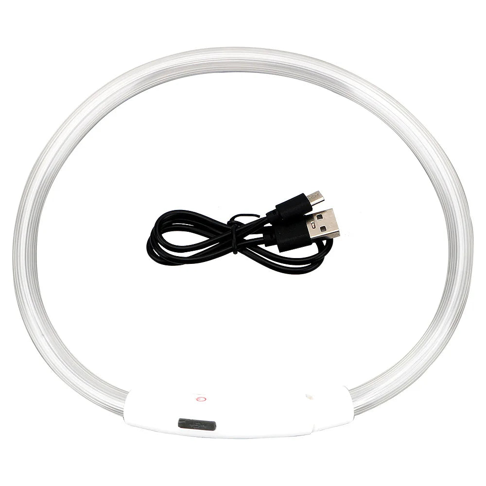 USB Rechargeable LED Dog Collar for Nighttime Visibility
