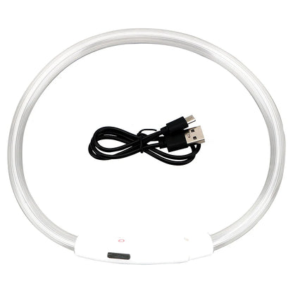 USB Rechargeable LED Dog Collar for Nighttime Visibility