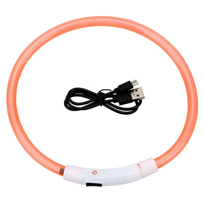 USB Rechargeable LED Dog Collar for Nighttime Visibility