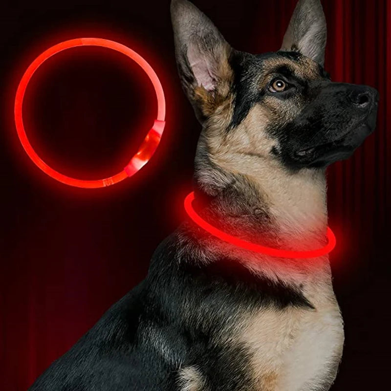 USB Rechargeable LED Dog Collar for Nighttime Visibility