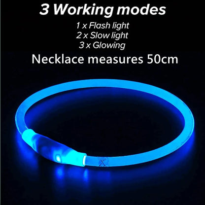 USB Rechargeable LED Dog Collar for Nighttime Visibility