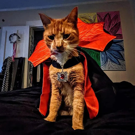 Red Vampire Cape for Cats & Dogs