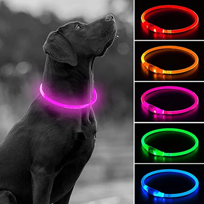 USB Rechargeable LED Dog Collar for Nighttime Visibility