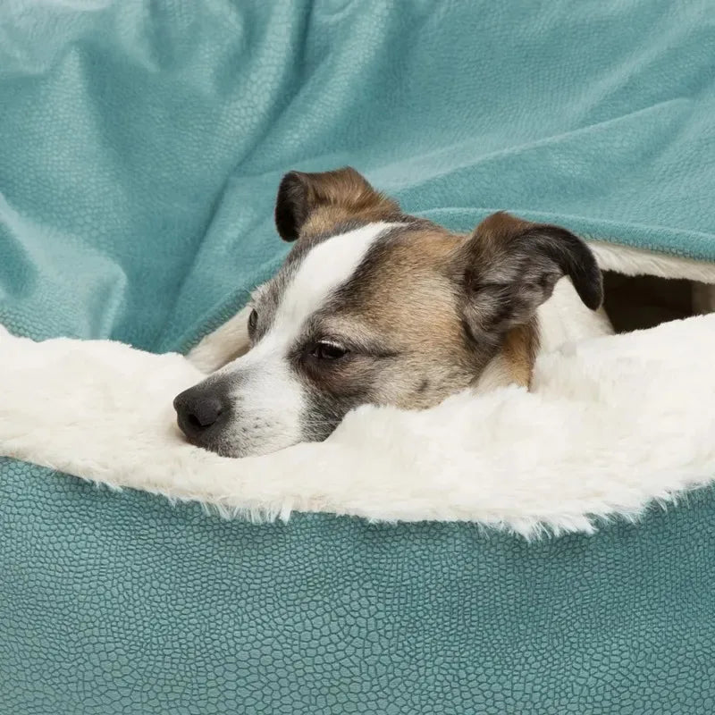 Warm Hooded Dog & Cat Bed with Blanket