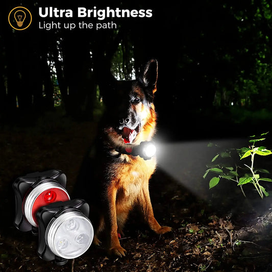 USB Rechargeable LED Safety Lights for Dog Collars & Harnesses