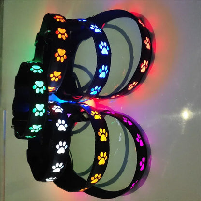 LED Light-Up Dog Collar – Adjustable Night Safety Collar