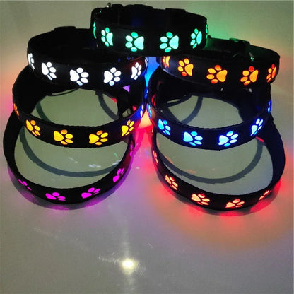 LED Light-Up Dog Collar – Adjustable Night Safety Collar