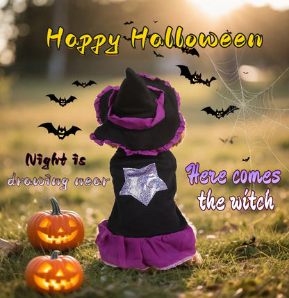 Witch Dress & Hat Costume for Pets
