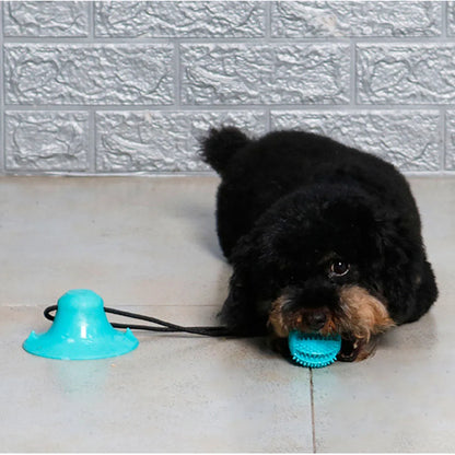 Dog Chew Ball Toy and Food Dispenser
