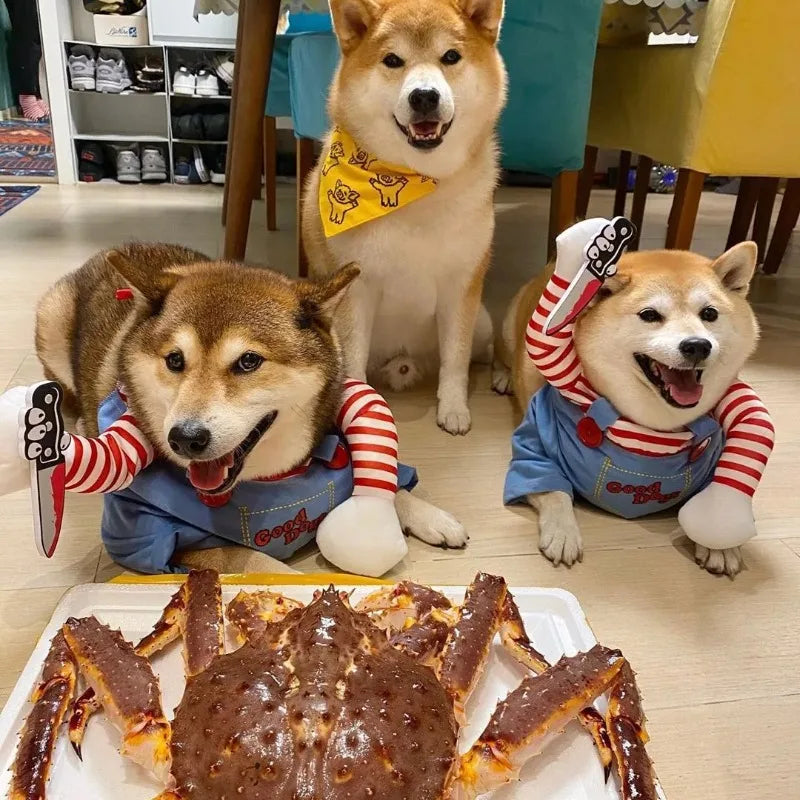 Halloween Cosplay Dress for Small & Medium Dogs