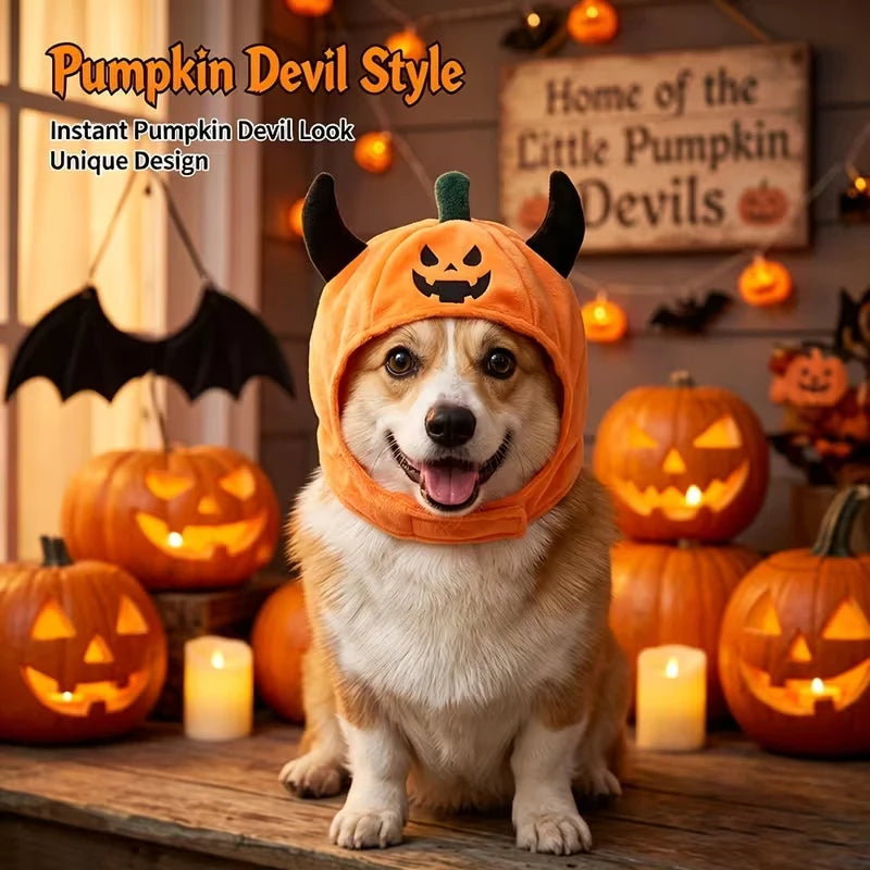 Halloween Costume Hat for Pets
