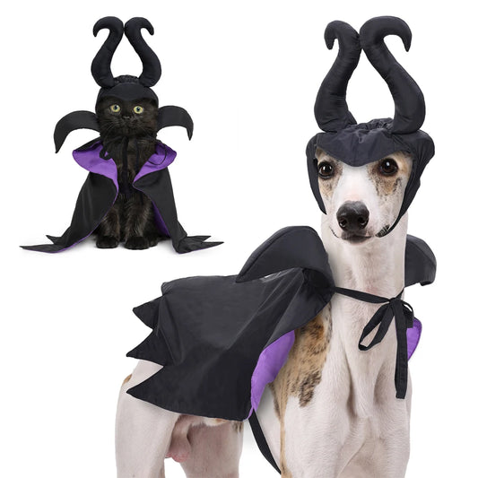 Purple & Black Halloween Costume for Pets