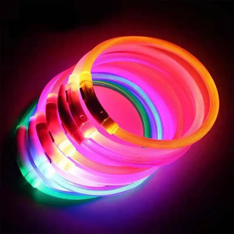 USB Rechargeable LED Dog Collar for Nighttime Visibility