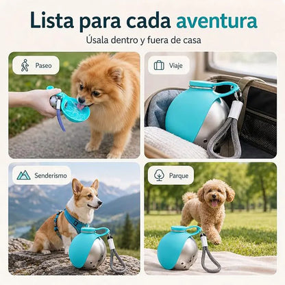 Portable Folding Dog Water Dispenser