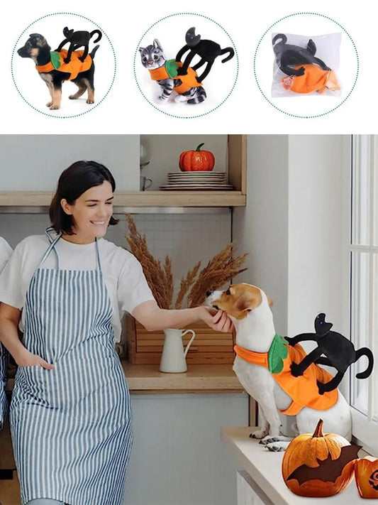 Pumpkin Kitty Halloween Pet Costume