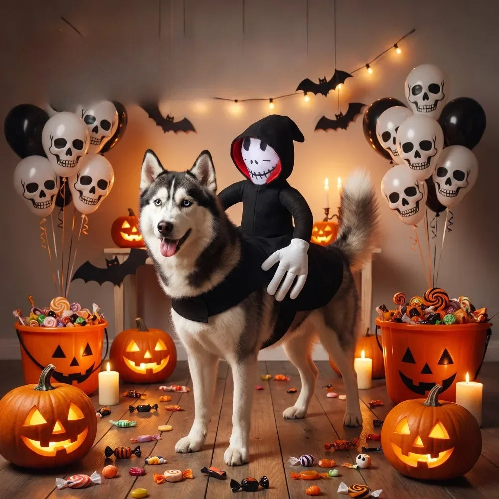 Grim Reaper Rider Dog Costume