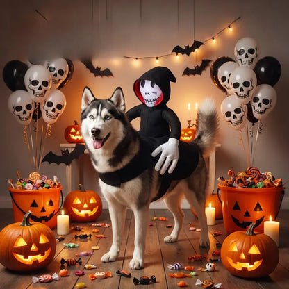 Grim Reaper Rider Dog Costume