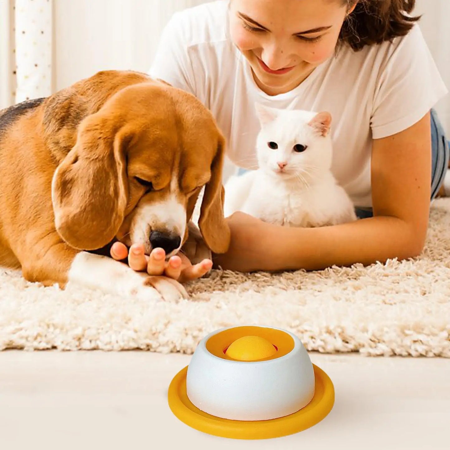 Dog Treat Puzzle Slow Feeder Toy