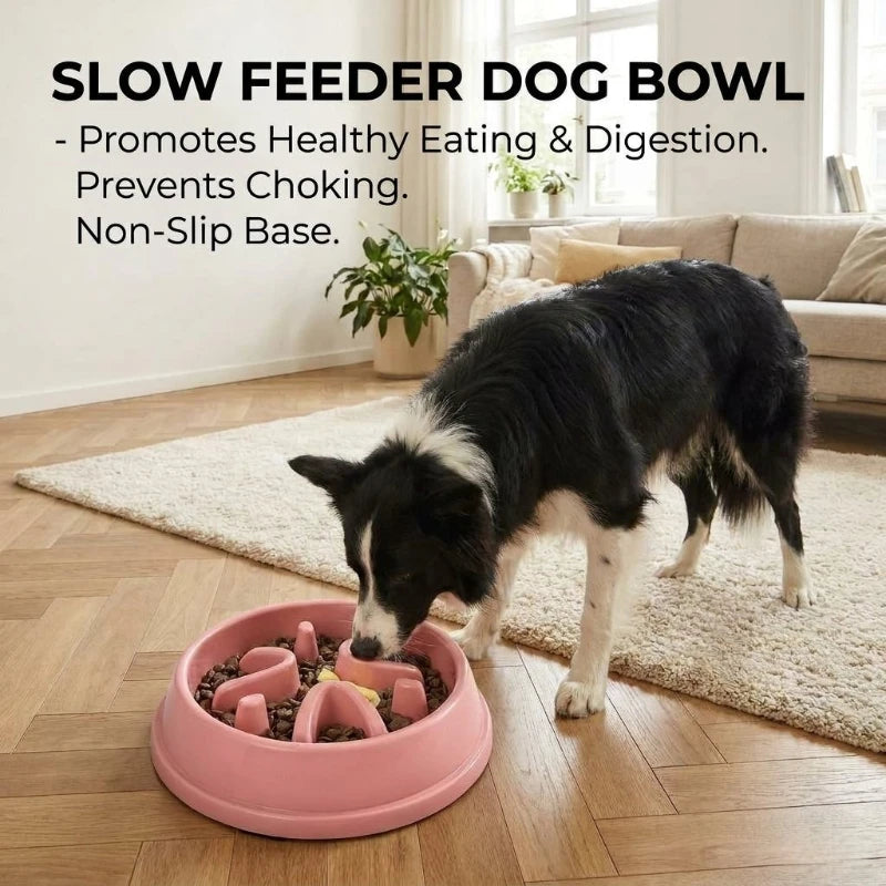 Slow Feeder Dog Bowl Anti-Choking Puzzle Feeder