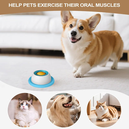 Dog Treat Puzzle Slow Feeder Toy