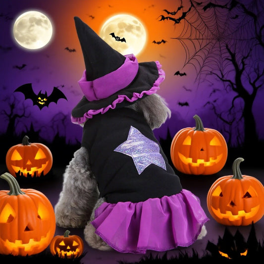 Witch Dress & Hat Costume for Pets