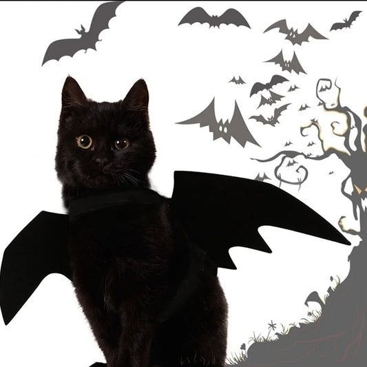 Spooky Bat Wings Pet Costume