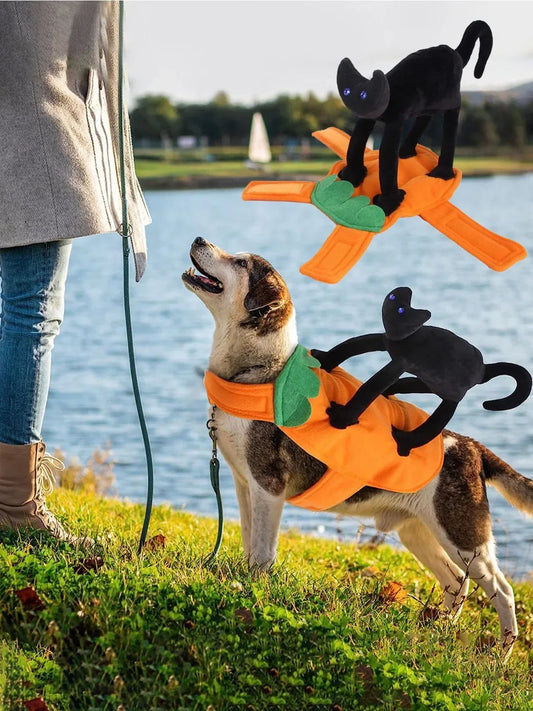 Pumpkin Kitty Halloween Pet Costume