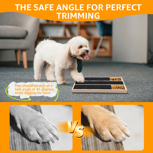 Dog Nail Scratch Board with Built-In Treat Box
