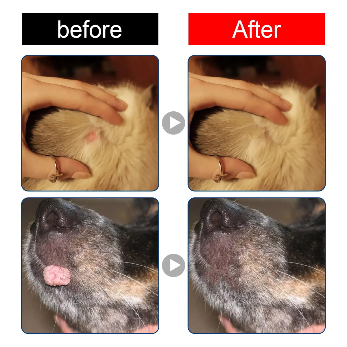 Dog Wart Remover Liquid