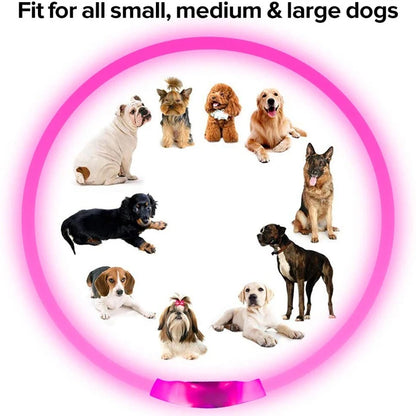 USB Rechargeable LED Dog Collar for Nighttime Visibility